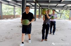 ����������---��У�쵼��һ��